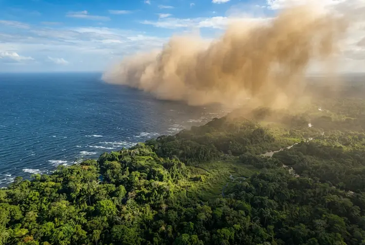 Saharan dust delivers 22,000 tonnes of phosphorus to Amazon yearly