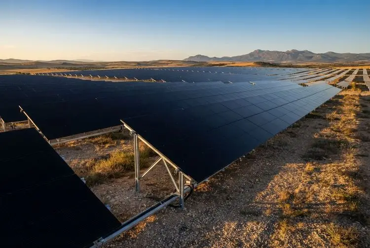 Six European bodies validate LONGi BC solar technology with yield gains up to 3.4%
