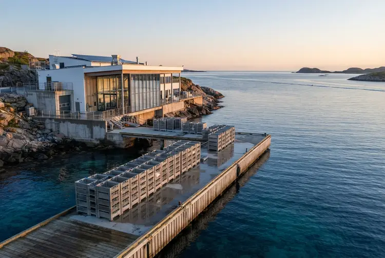 Waitrose adopts science-based nature target for seafood